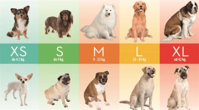 Размеры фурминаторов для собак