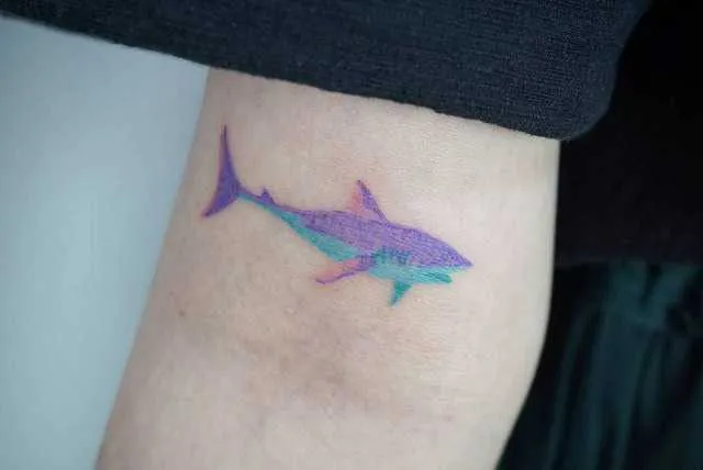 Рыбы тату акула на руке