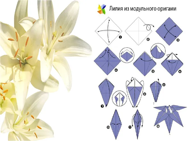 Схема лилии оригами