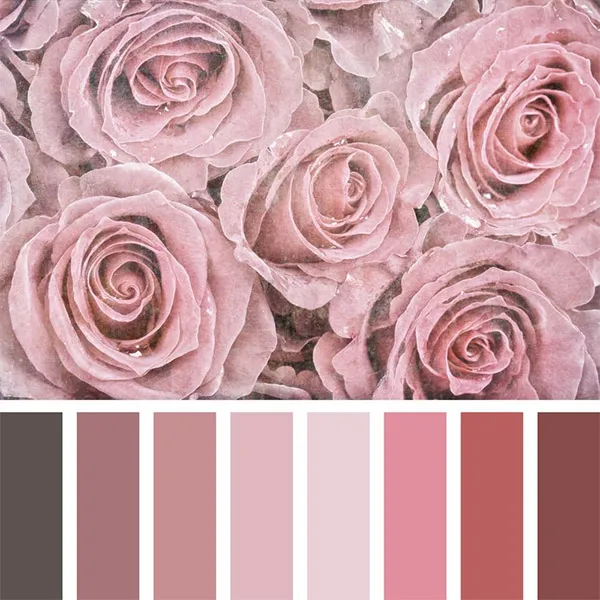 Цвет пыльная роза в одежде, помада, маникюр. Фото