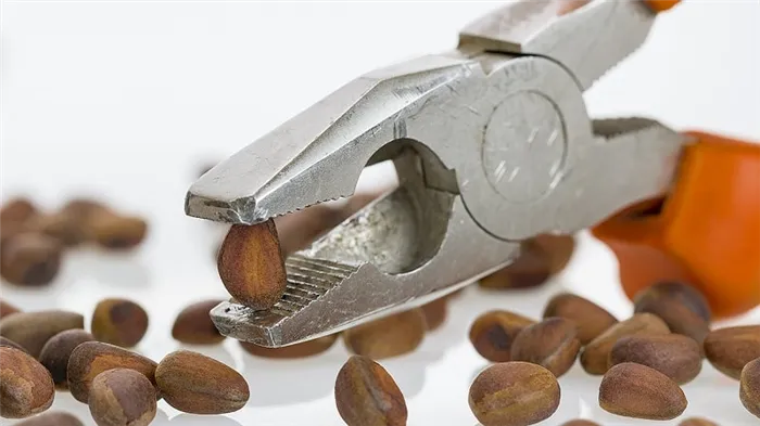 Хранение очищенных кедровых орехов дома — можно ли и на какой срок