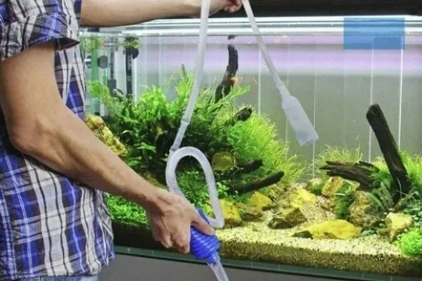 Чистка аквариума