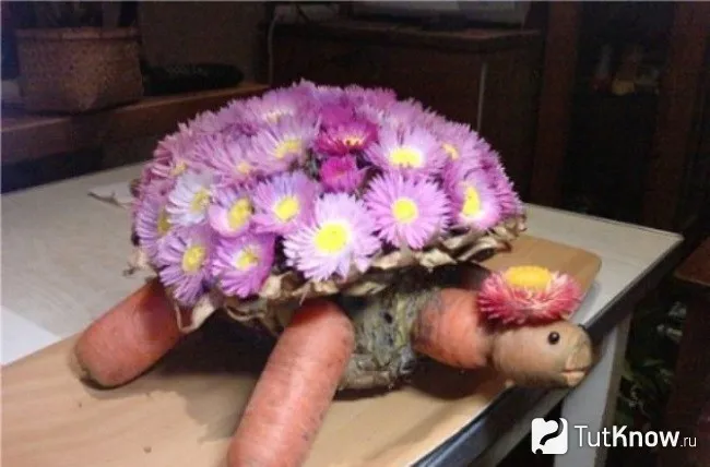 Черепаха с цветочным панцирем