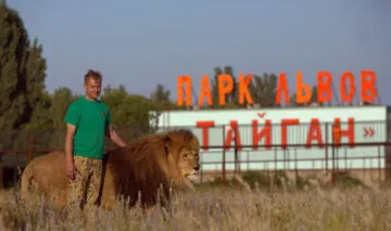 Парк львов Тайган в Крыму, мишка