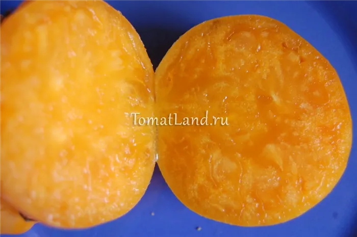 томаты амана оранж фото в разрезе