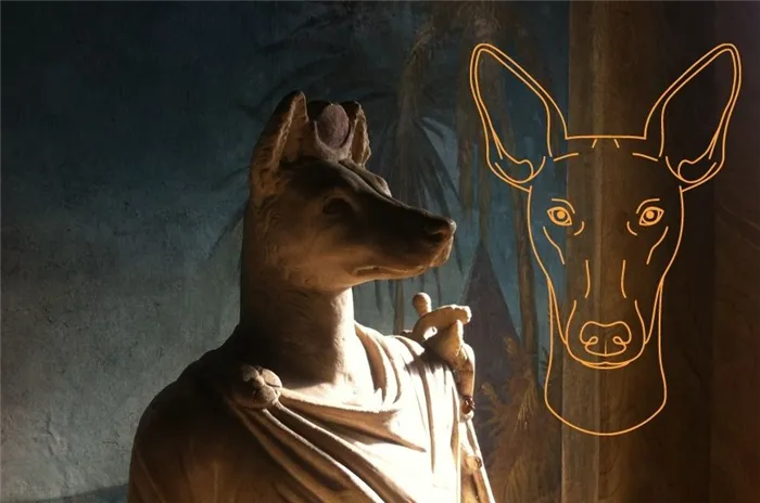 Фараонова собака, похожая на анубиса