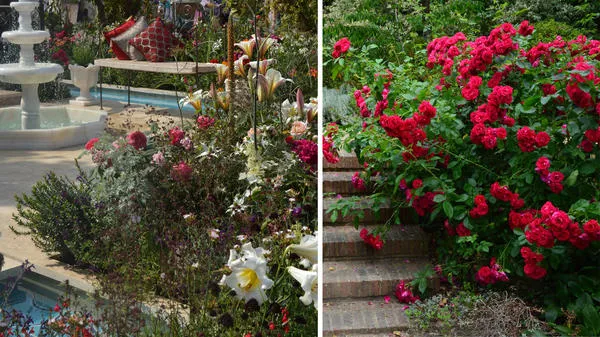Восточный (турецкий) стиль в саду: пышный микс из роз, лилий, пряных трав, атмосфера восточной неги под журчание струй фонтана. Розы здесь должны быть насыщенных цветов. Фото автора