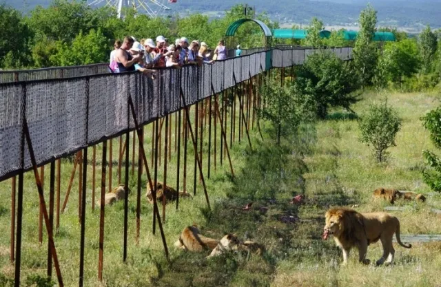Топ 10 лучших зоопарков в Крыму