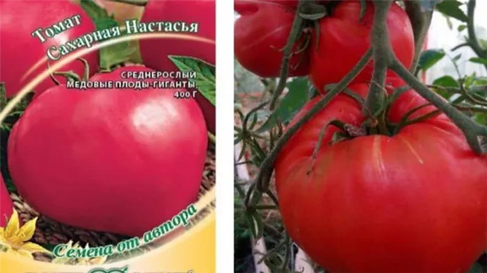 Новый, но уже успевший полюбиться фермерам сорт - томат 