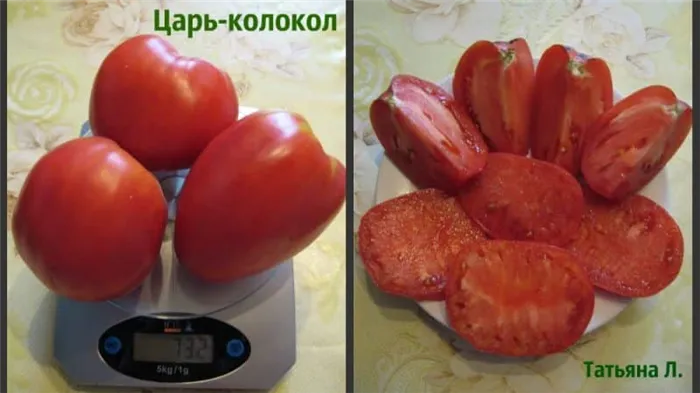 Крупноплодный сорт с деликатным вкусом для диетического питания - томат 