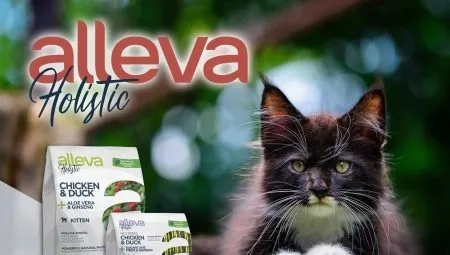 Особенности кормов для кошек и котов Alleva