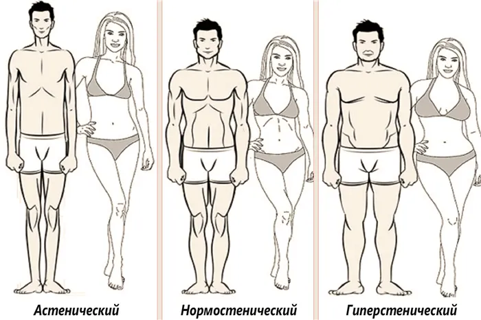 Три типа телосложени