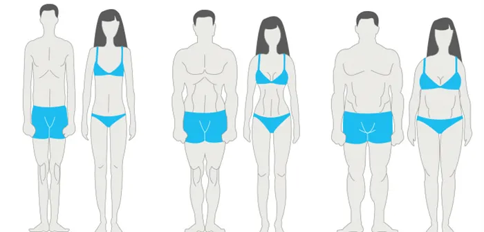 Как определить тип телосложения по запястью: способы и методы определения, показатели, особенности. Обхват запястья у мужчин.