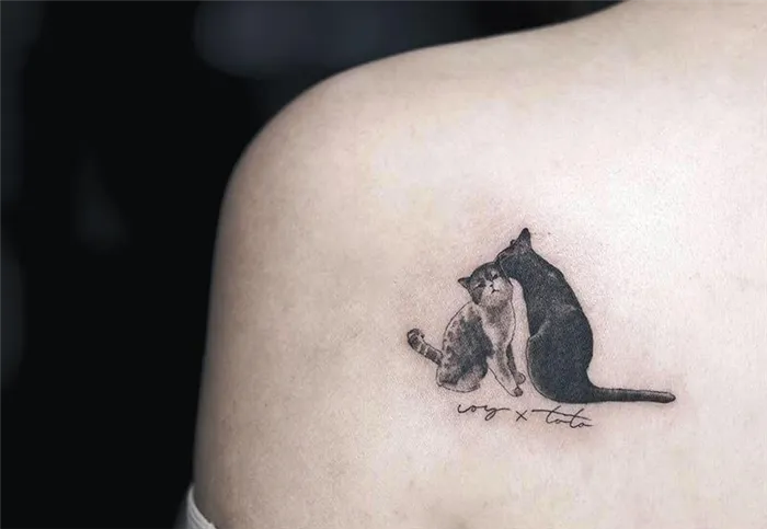 Тату кот - Татуировка кот - Портрет кота