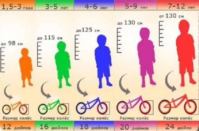 Выбор велосипеда по возрасту