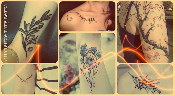 Значение тату ветка - коллекция фото готовых рисунков татуировки