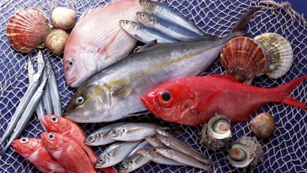 Излишек рыбы провоцирует развитие МКБ