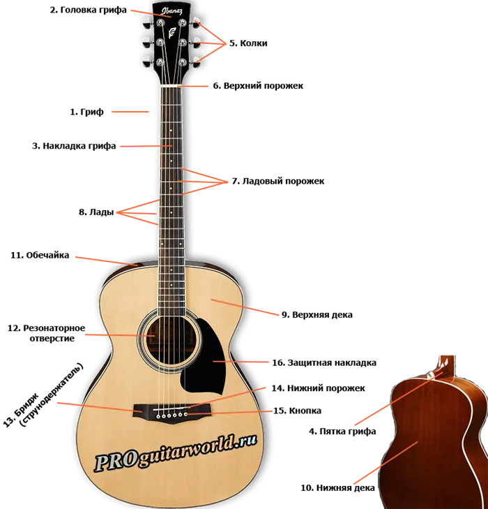 Конструкция акустической гитары: схема