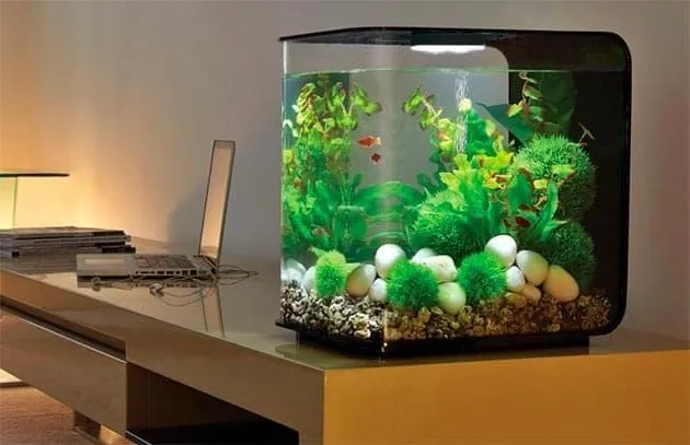 аквариум в доме