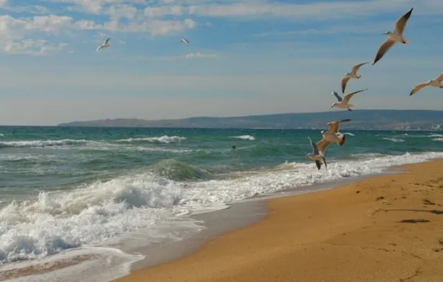 Лучшие песчаные пляжи Феодосии 2022 для отдыха с детьми