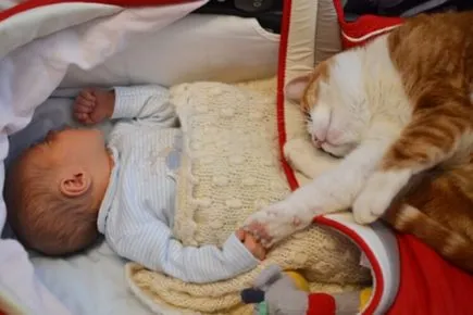 Спящие младенец и кот