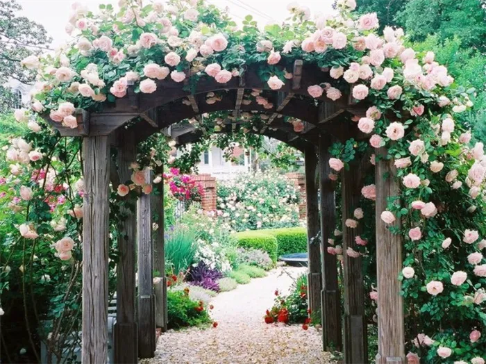 (+18 фото) Изготовление арок для роз своими руками