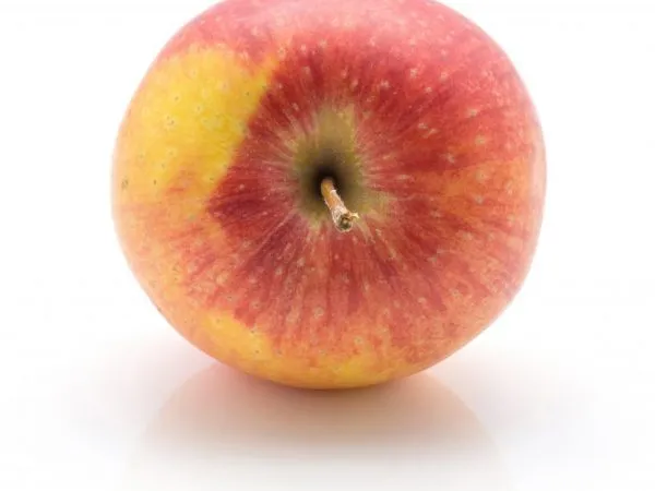 Хороший урожай при правильном уходе за яблоней