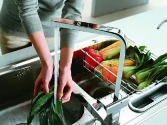 Излив для смесителя для кухонной раковины что это такое, описание. Излив для смесителя на кухню.