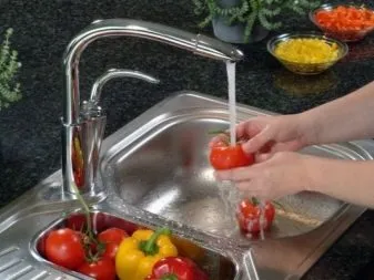 Излив для смесителя для кухонной раковины что это такое, описание. Излив для смесителя на кухню.