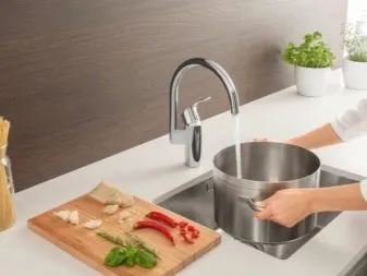 Излив для смесителя для кухонной раковины что это такое, описание. Излив для смесителя на кухню.