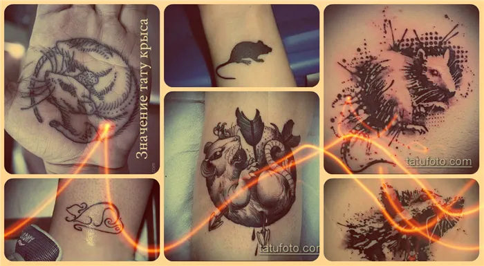 Значение тату крыса - примеры фото готовых татуировок