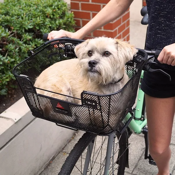 велокорзина для собак
