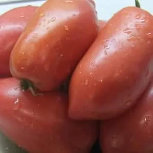 Вкусные, сладкие и сочные томаты 