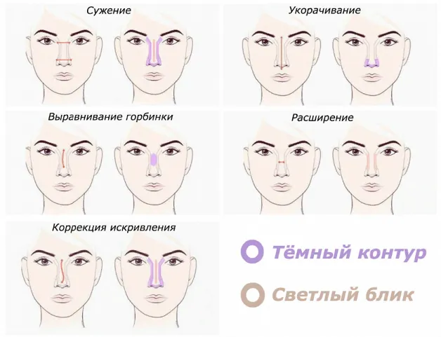 Общие правила скульптурирования лица при макияже