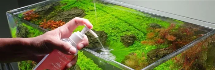 быстрорастущие аквариумные растения