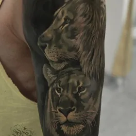 Татуировка на плече у парня - лев и львица