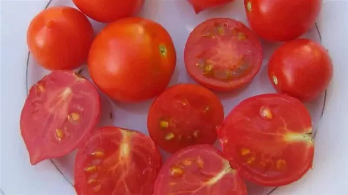 Как выращивать томат 