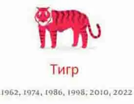 Год Тигры