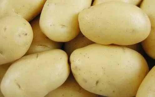 использования картофеля в пищу