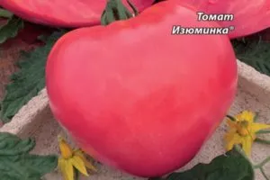 Характеристика и описание сорта томата Изюминка, урожайность