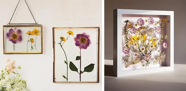 На фото изображено - Сухие цветы для творчества, рис. Картины из сухих цветов