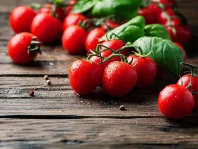 Характеристика и описание помидоров Черри Вера. Урожайность и особенности выращивания