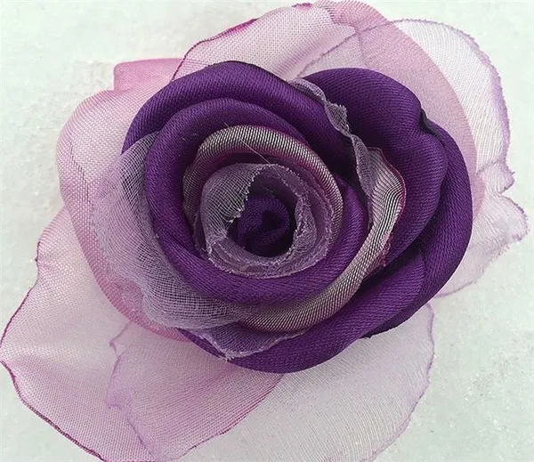 Роза двухцветная фиолетовая