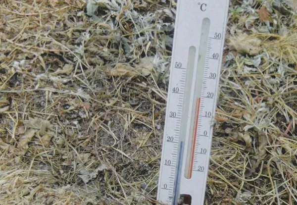 Измерение температуры почвы и воздуха с помощью двойного термометра