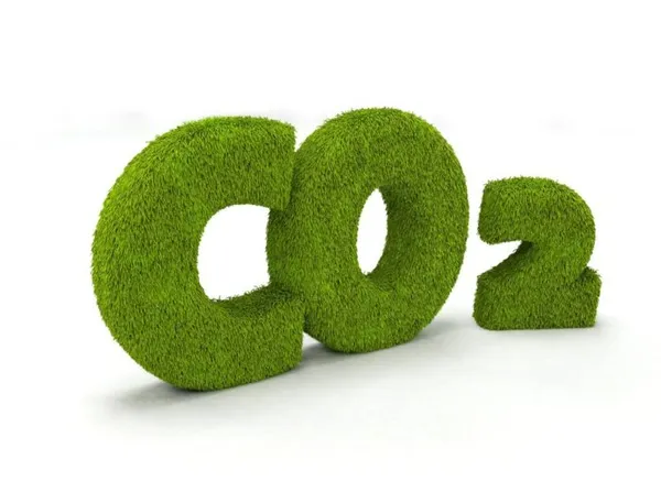 Есть разные способы подачи CO₂
