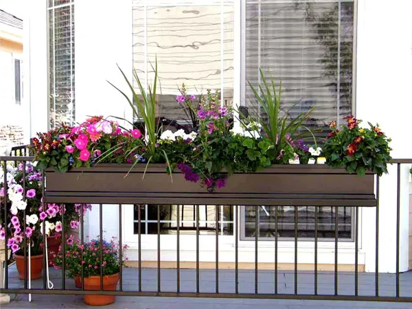 Живые растения в цветочной корзине на перилах балкона