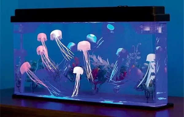 аквариум с плавающей медузой
