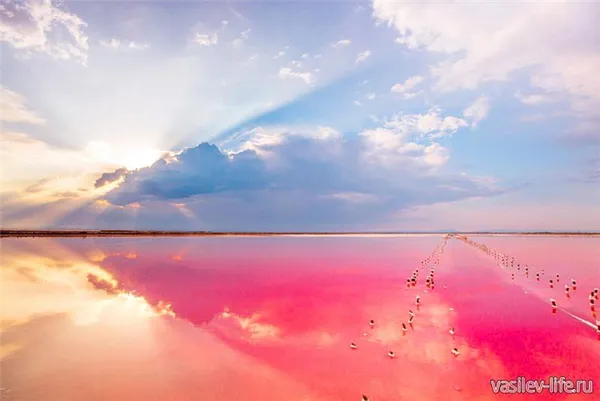 Озеро Сиваш в Крыму