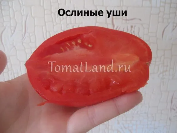 помидоры ослиные уши отзывы фото в разрезе