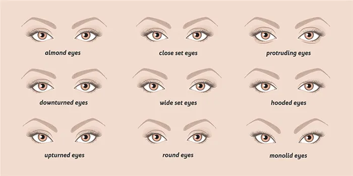 Как определить форму глаз: простые методы с фотопримерами
